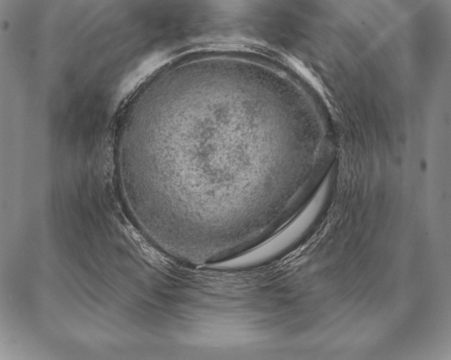 X0000087381456200704271545