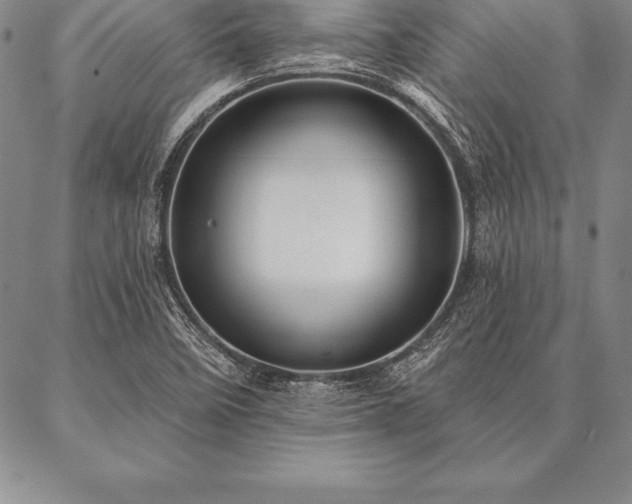 X0000087381458200704271545