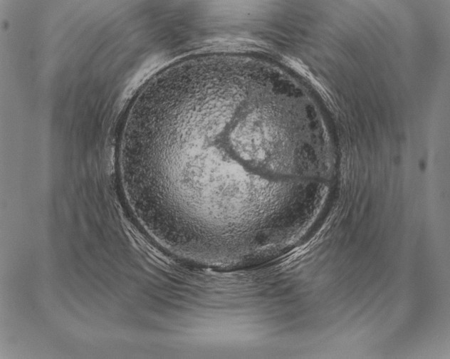 X0000087381459200704271545