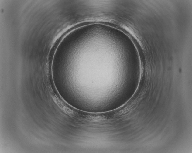 X0000087381460200704271545