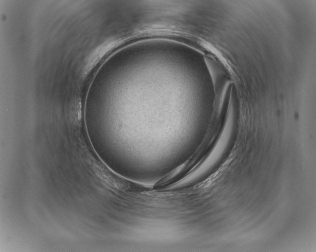 X0000087381461200704271545