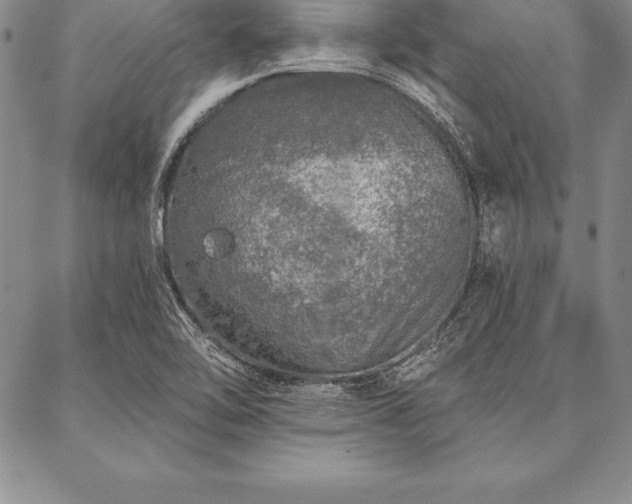 X0000087381462200704271545