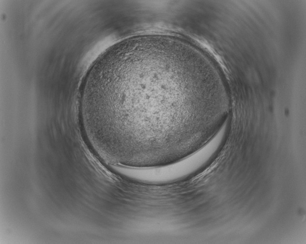 X0000087381463200704271545