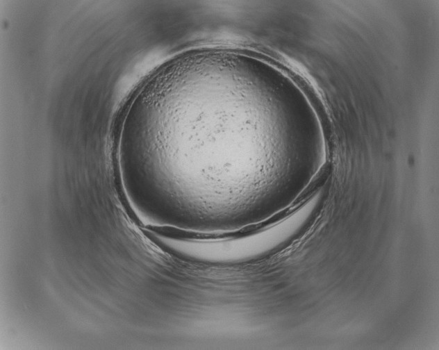 X0000087381464200704271545