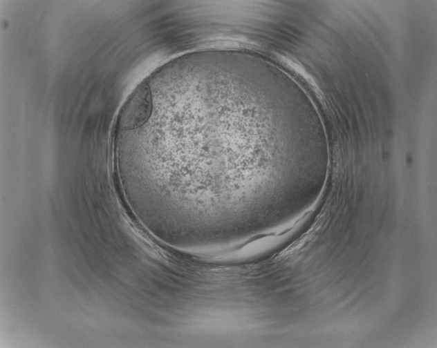 X0000087381467200704271545