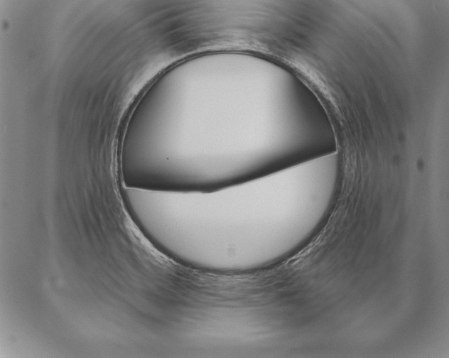 X0000087381468200704271545