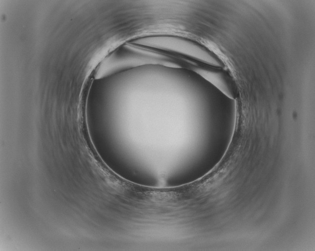 X0000087381469200704271545