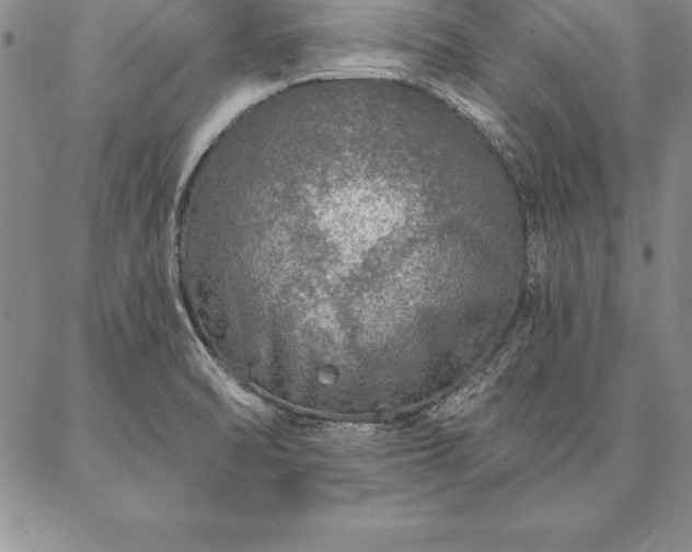 X0000087381470200704271545