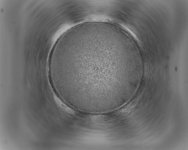 X0000087381471200704271545