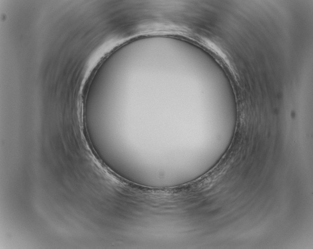 X0000087381472200704271545