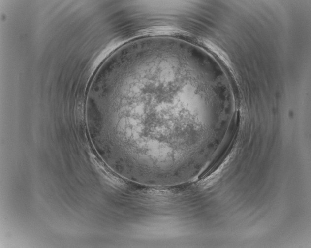 X0000087381473200704271545