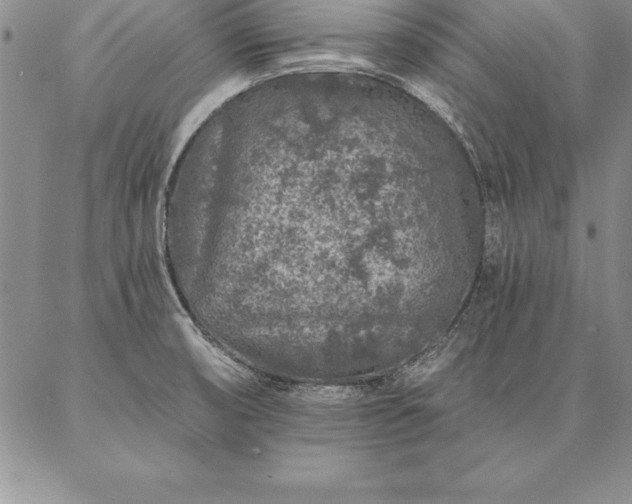 X0000087381474200704271545