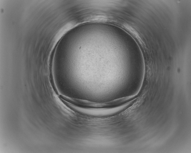 X0000087381475200704271545