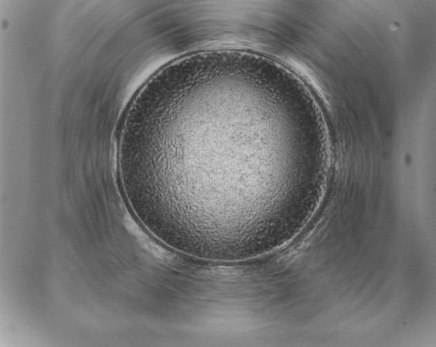 X0000087381476200704271545