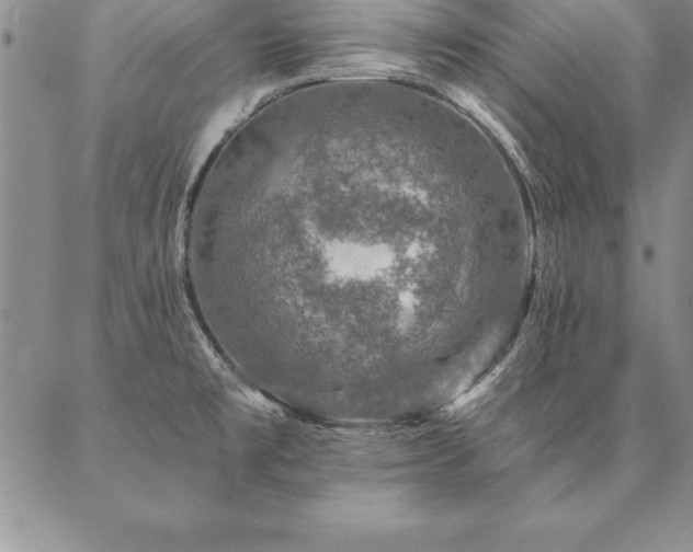 X0000087381477200704271545