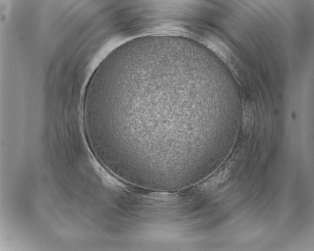 X0000087381478200704271545