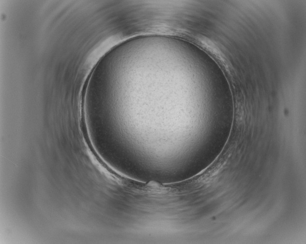 X0000087381479200704271545