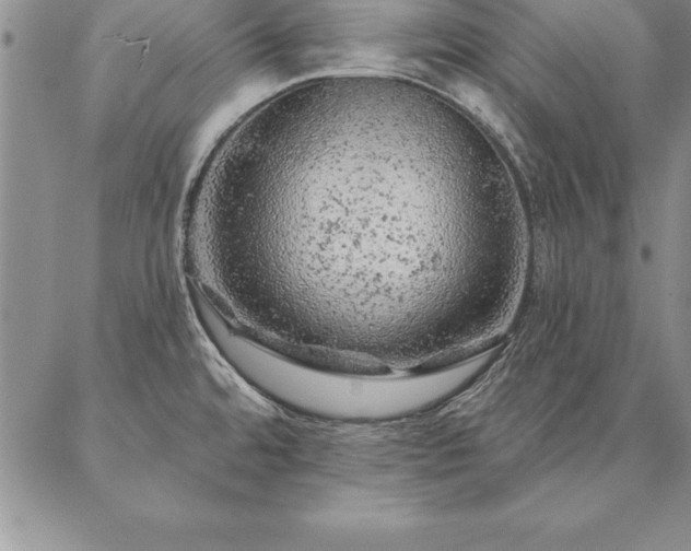 X0000087381480200704271545