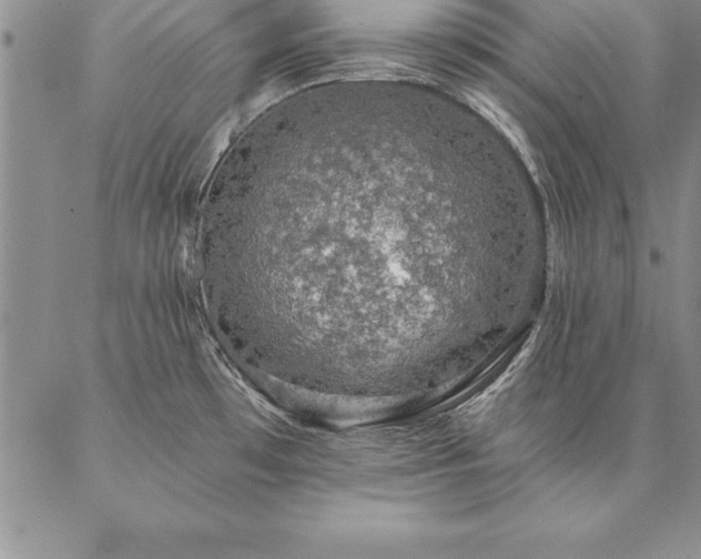 X0000087381481200704271545