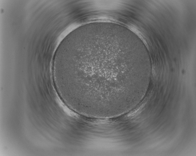 X0000087381482200704271545