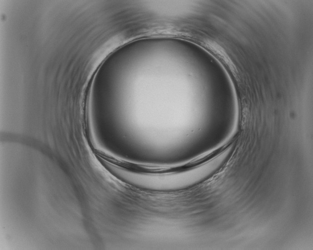 X0000087381483200704271545