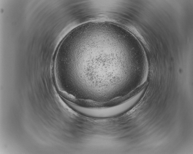 X0000087381484200704271545