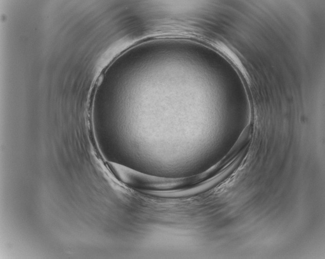 X0000087381485200704271545