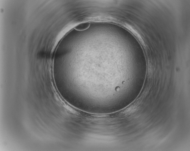 X0000087381486200704271545