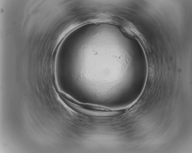 X0000087381487200704271545