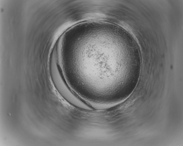 X0000087381488200704271545