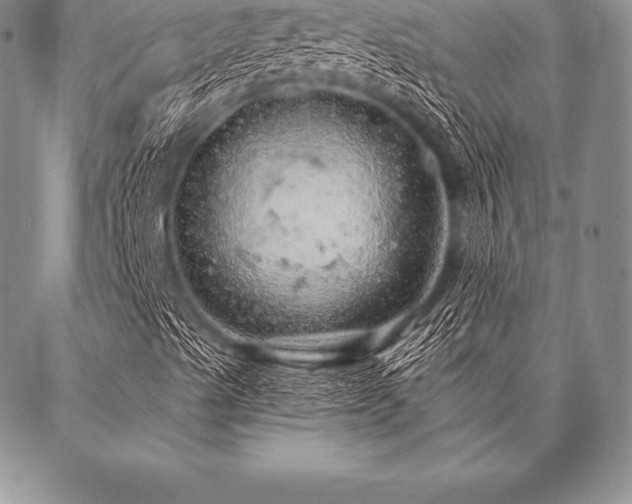 X0000087381489200704271544