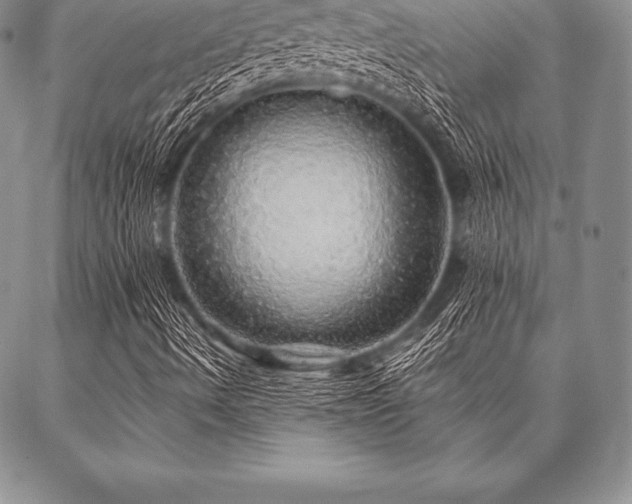 X0000087381490200704271544