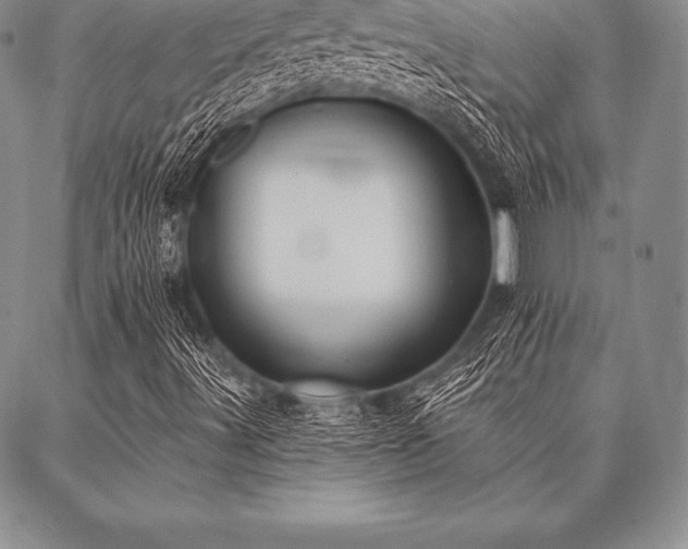 X0000087381491200704271544