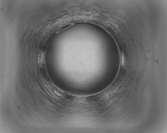 X0000087381492200704271544