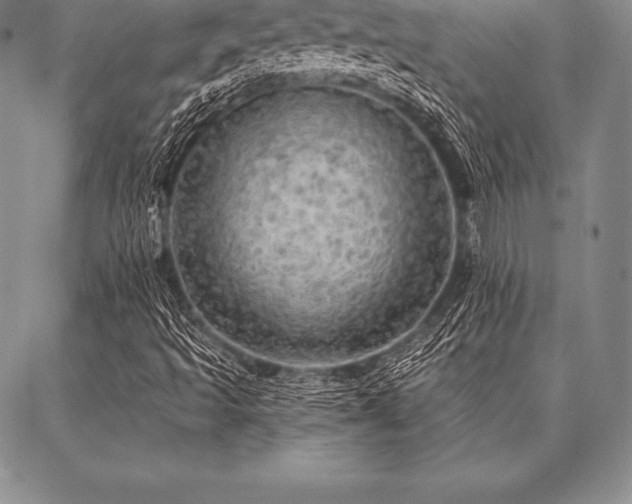 X0000087381493200704271544