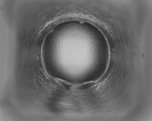 X0000087381494200704271544