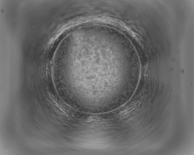 X0000087381496200704271544