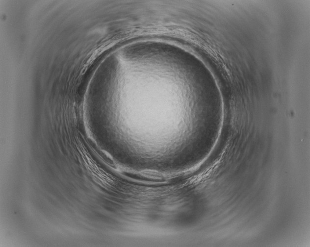 X0000087381497200704271544