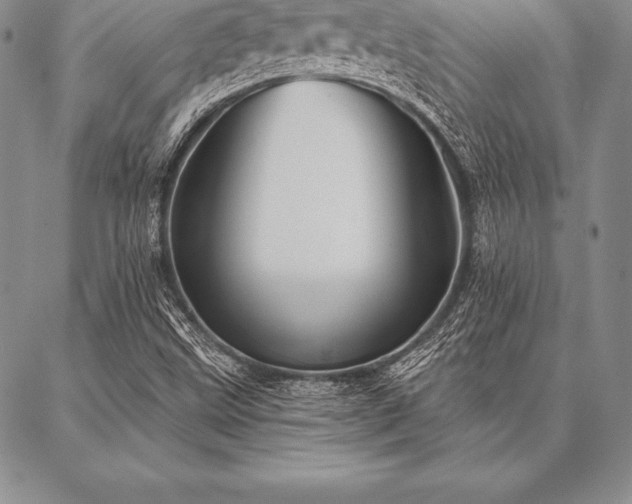 X0000087381499200704271544