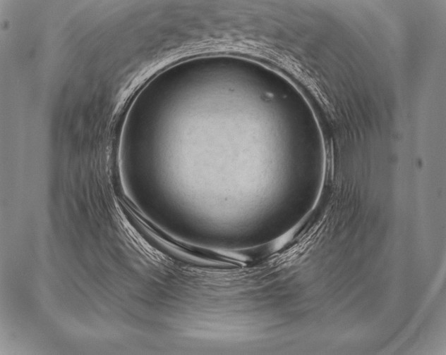 X0000087381500200704271544