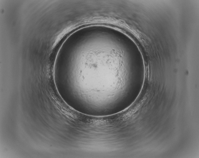 X0000087381501200704271544