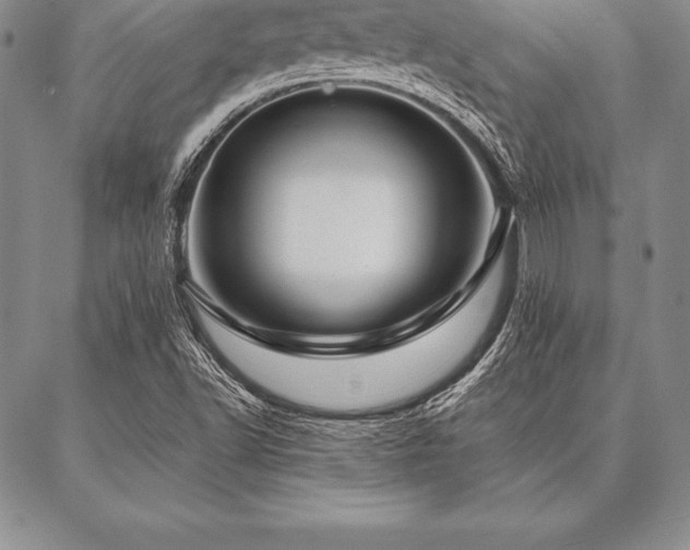 X0000087381502200704271544