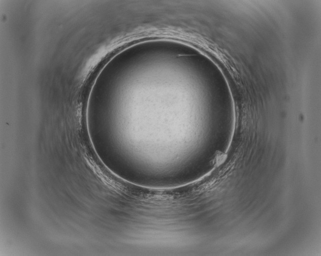 X0000087381503200704271544