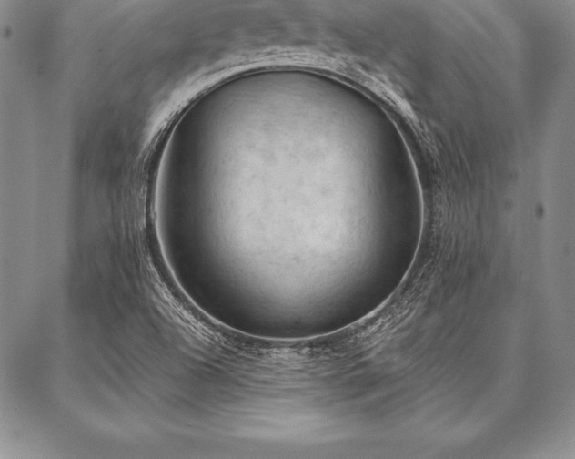 X0000087381504200704271544