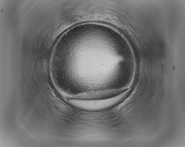 X0000087381505200704271544