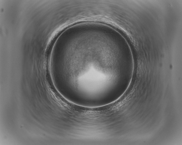 X0000087381506200704271544