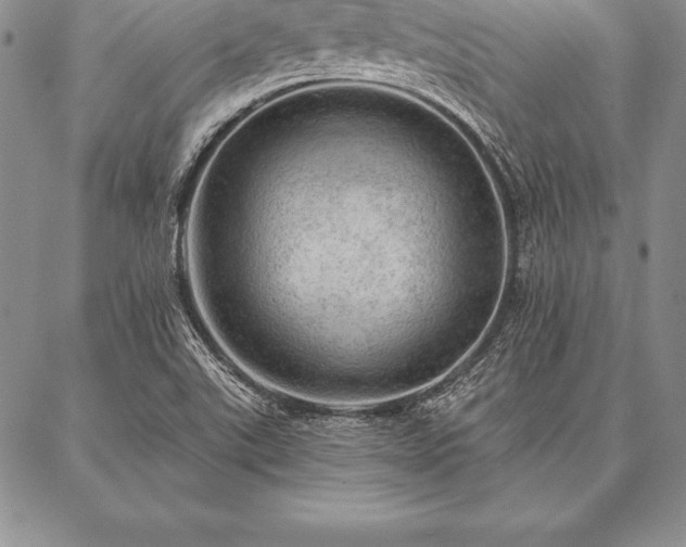 X0000087381507200704271544