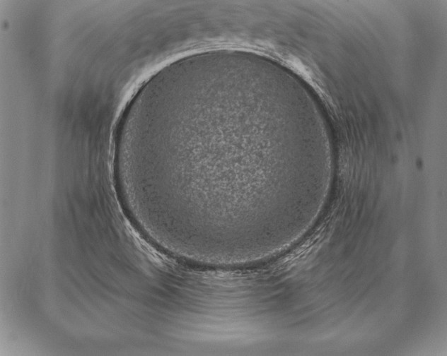 X0000087381508200704271544