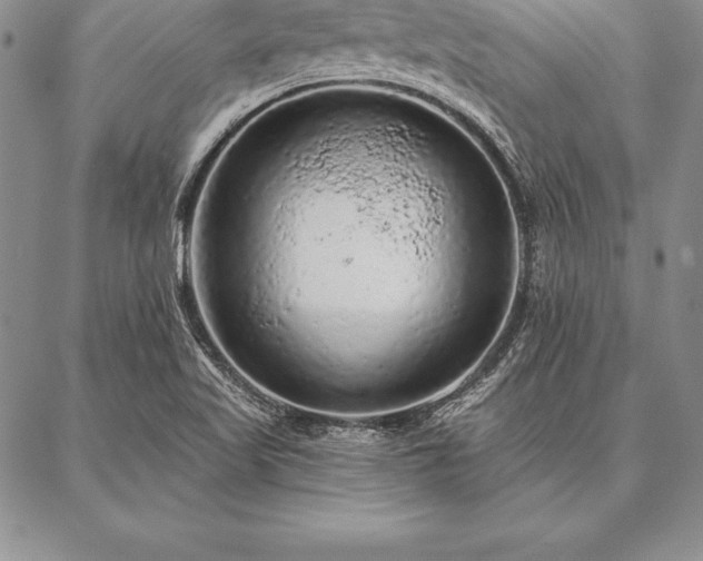 X0000087381509200704271544