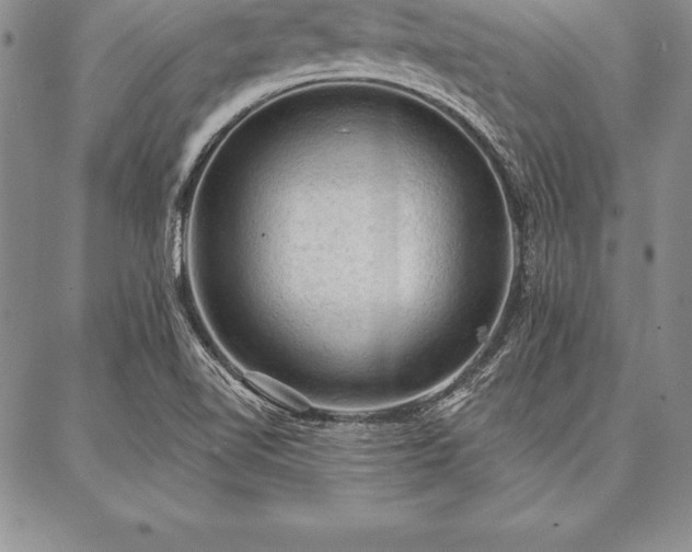 X0000087381510200704271544